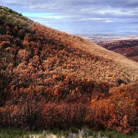 Duplex Con Piscina Climatizada Y Sauna, El Ultimo Rincon * La Pinilla (Castile and Leon)