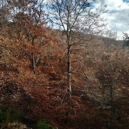 Lägenhet Duplex Con Piscina Climatizada Y Sauna, El Ultimo Rincon *