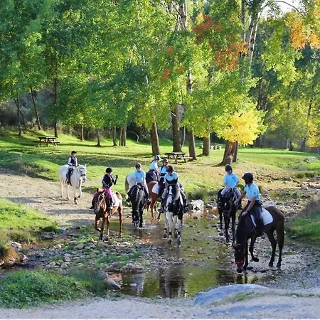 Duplex Con Piscina Climatizada Y Sauna, El Ultimo Rincon * La Pinilla (Castile and Leon)