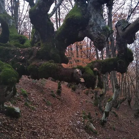 Duplex Con Piscina Climatizada Y Sauna, El Ultimo Rincon La Pinilla (Castile and Leon)
