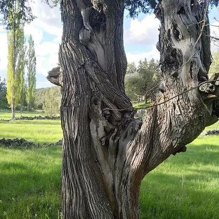 Διαμέρισμα Duplex Con Piscina Climatizada Y Sauna, El Ultimo Rincon *