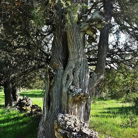 Duplex Con Piscina Climatizada Y Sauna, El Ultimo Rincon *