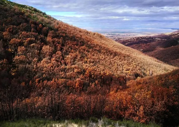 Duplex Con Piscina Climatizada Y Sauna, El Ultimo Rincon * La Pinilla (Castile and Leon)