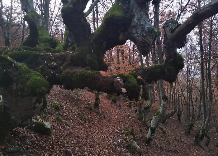 Duplex Con Piscina Climatizada Y Sauna, El Ultimo Rincon La Pinilla (Castile and Leon)