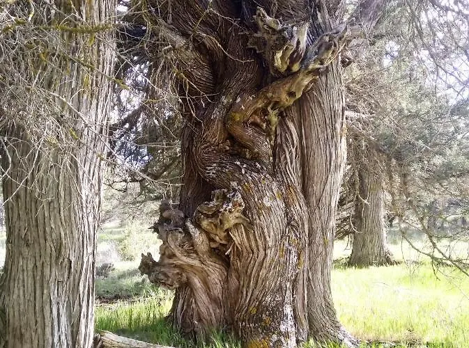 Duplex Con Piscina Climatizada Y Sauna, El Ultimo Rincon * La Pinilla (Castile and Leon)