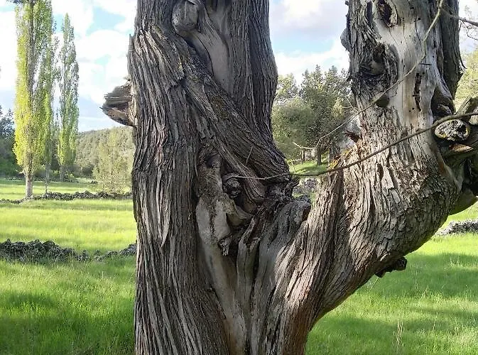 아파트 Duplex Con Piscina Climatizada Y Sauna, El Ultimo Rincon *