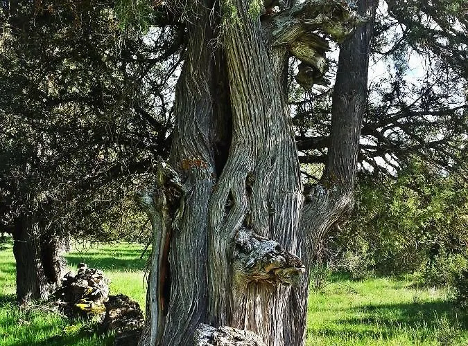 Duplex Con Piscina Climatizada Y Sauna, El Ultimo Rincon *